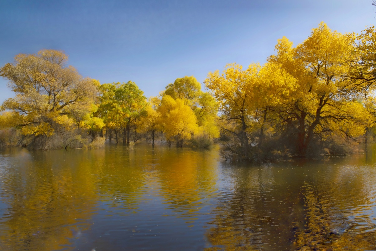 已经有超过两千万的摄影爱好者入驻了图虫