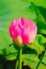001