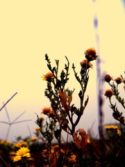 100_1206.jpg