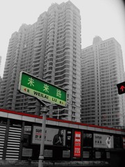 指向标.jpg