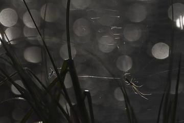 100_3262.jpg