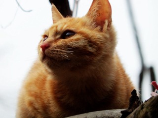 100_3262.jpg