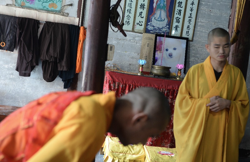 2015年8月29日,中国上海,僧人在寺庙中为“爱文”举行超度仪式。
