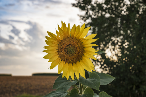 民工的露天午餐