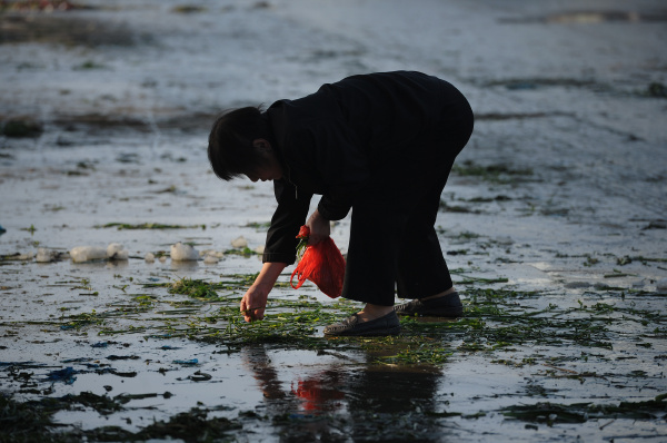菜市场捡菜的老人