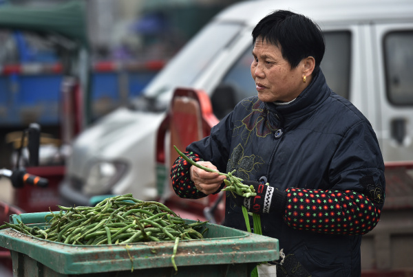 菜市场捡菜的老人