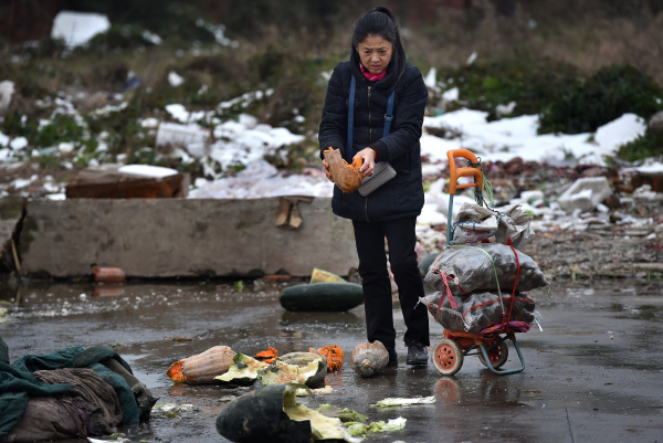 菜市场捡菜的老人