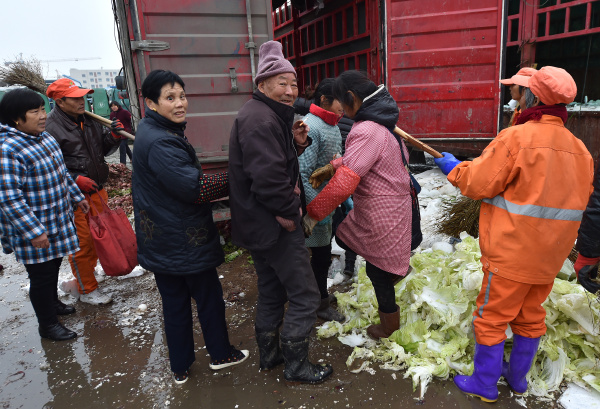 菜市场捡菜的老人