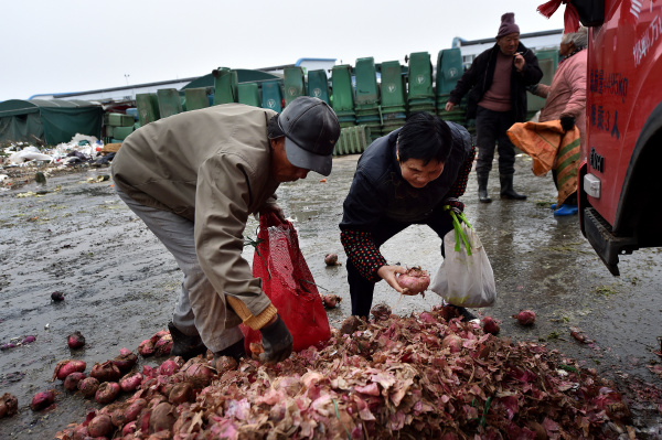 菜市场捡菜的老人