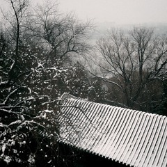 IMG_0024(2)