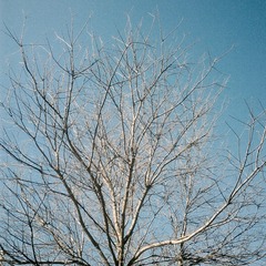 IMG_0027(1)