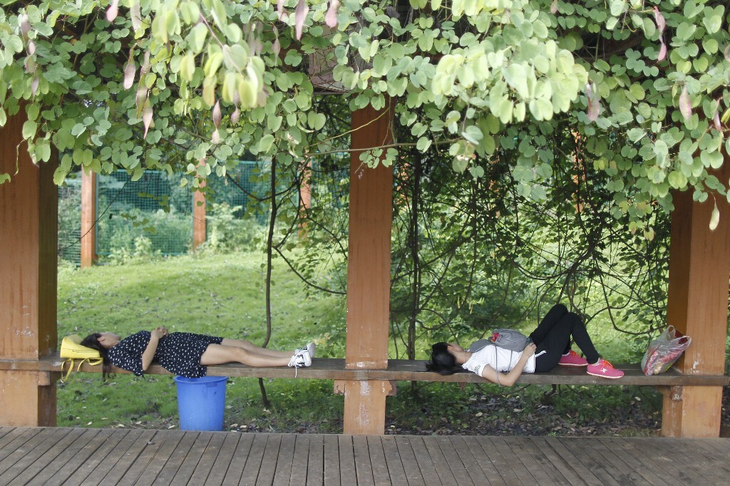 梦 6月9日,湖南省森林植物园,绿荫下午睡的女子。