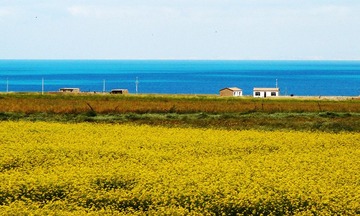 青海湖.jpg