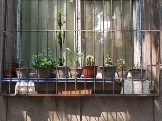 DSCF1328.jpg
