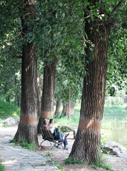 DSCF1111.jpg