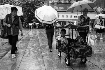 下雨我不怕
