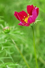 Dsc05155.jpg
