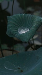 4C5A5370-039B-4E3E-9034-471397CD2092/L0/001