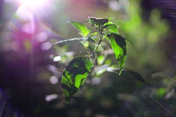 IMG_20160323_210454