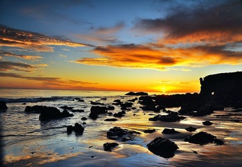 DSC_3879.jpg