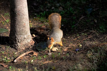 DSC_0746.jpg