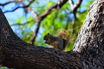 DSC_0720.jpg