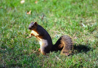 DSC_0756.jpg