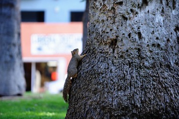 DSC_0759.jpg