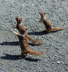 DSC_2102.jpg