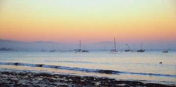 DSC_2799.jpg