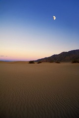 DSC_30902.jpg