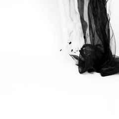 FP0706PAN