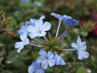PB033538.jpg