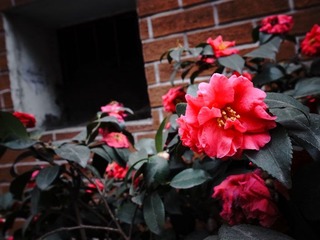 R0010144.jpg