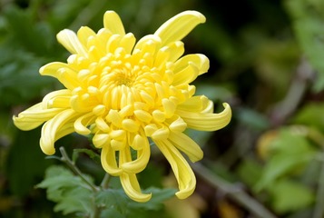 照片 031_