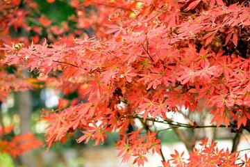 照片 014_