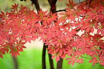照片 030_