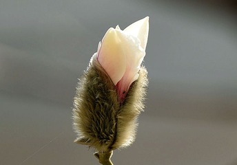 照片 023_