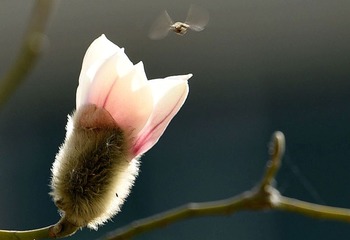 照片 012_