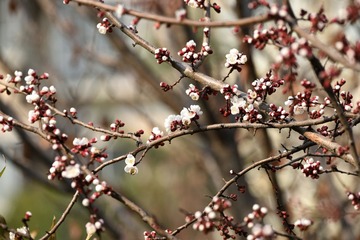 照片 060_
