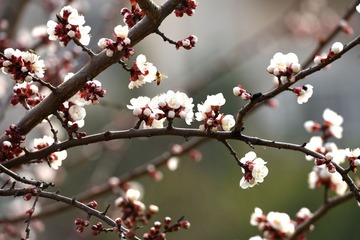 照片 016_