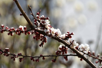 照片 002_