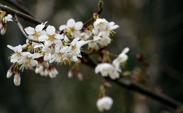 照片 124_