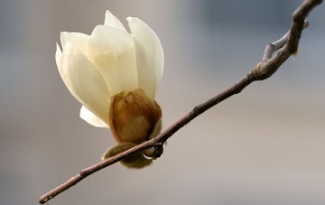 照片 131_