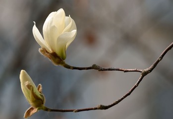 照片 578_