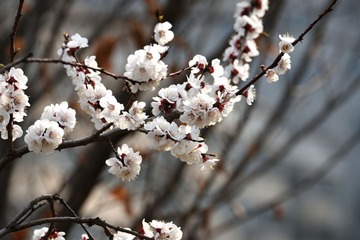 照片 059_
