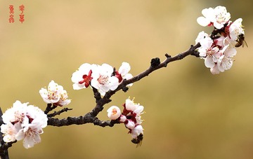 照片 073__