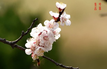照片 077_