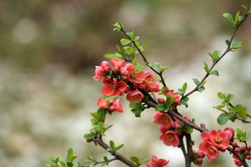 照片 150_