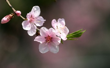 照片 074_